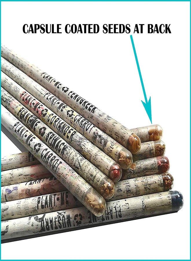 GoodWill Tech NS Plantable Pencil Recycled Plantable Eco Friendly Newspaper Pencils (Pack of 60) - Image 2